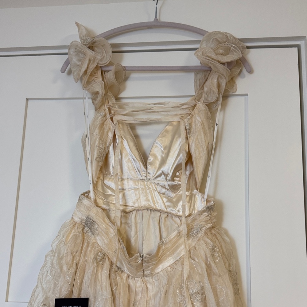 Whimsical Aura Champagne Embroidered Ruffled Lace-up Midi Dress - Picture 7 of 8